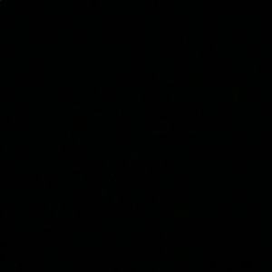 Meet your Posher, Dustin